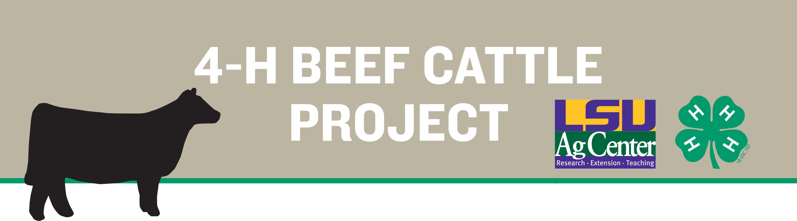 title 4H Beef Cattle Projectjpg